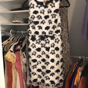 Alice and Olivia black and white frock dress
